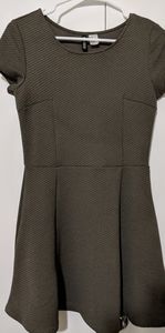 Forever 21 Mini Skater Dress